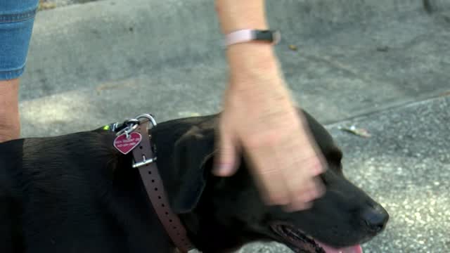 Nc: Woman Saves Newborn From Trash Can