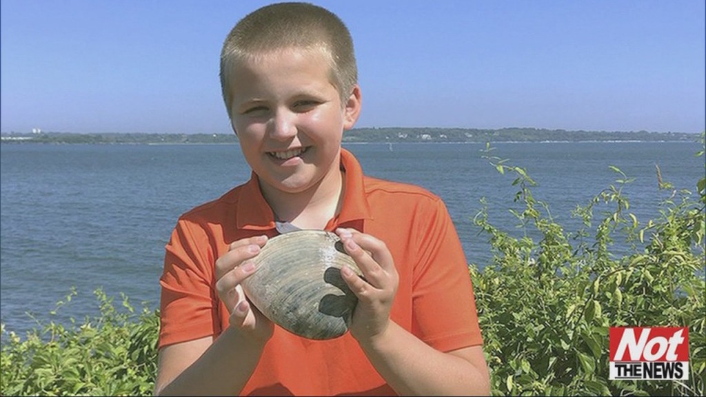 Mollusk