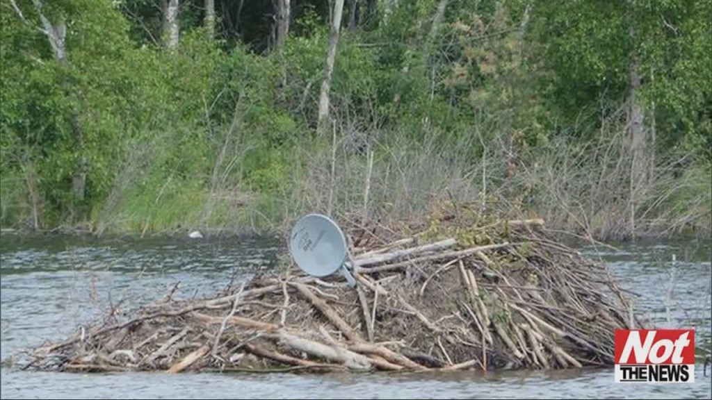 Satellite Dish