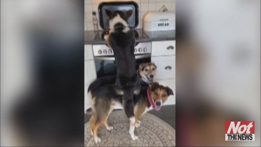Teamwork