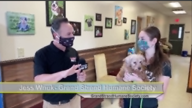 Humane