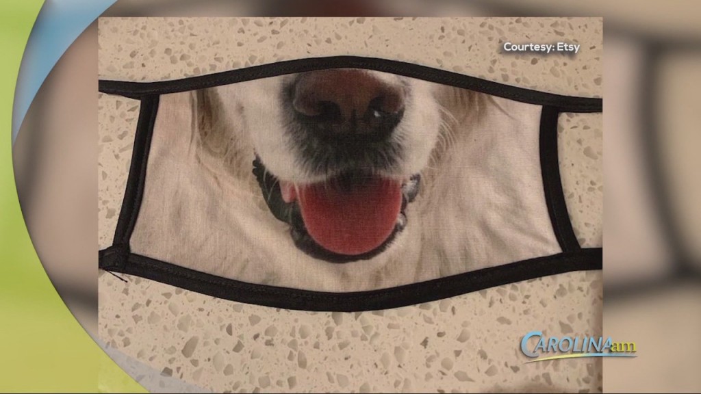 Match Your Pet
