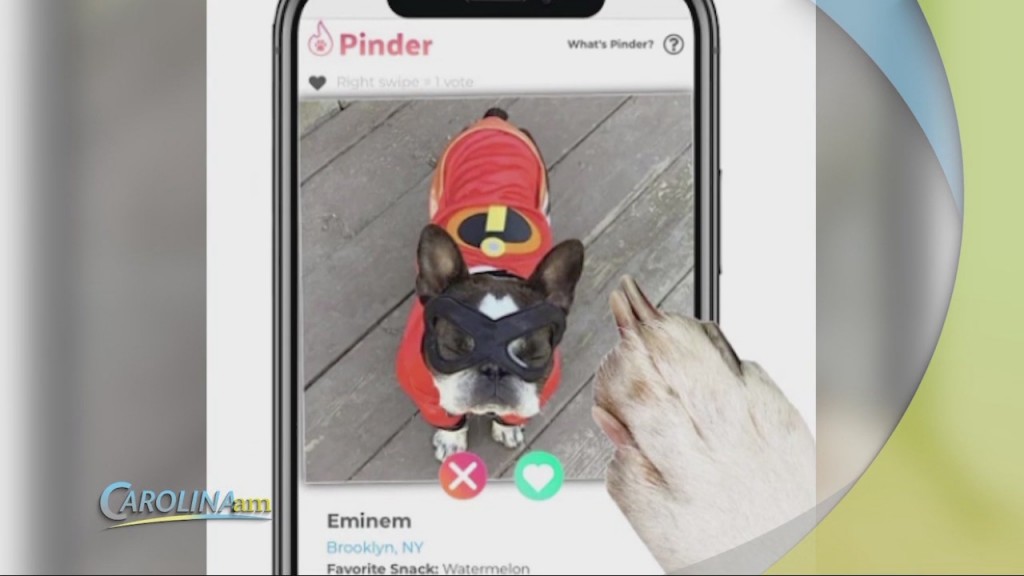 Pet Dating Site
