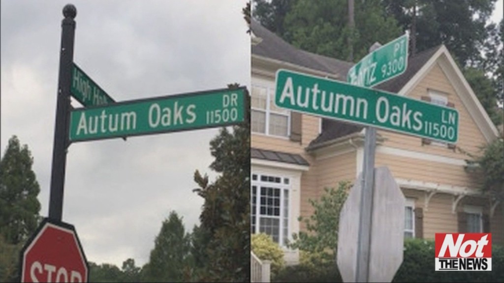 Spell Check