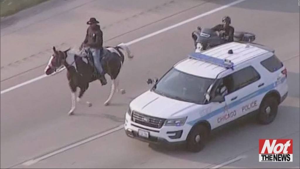 Highway Cowboy