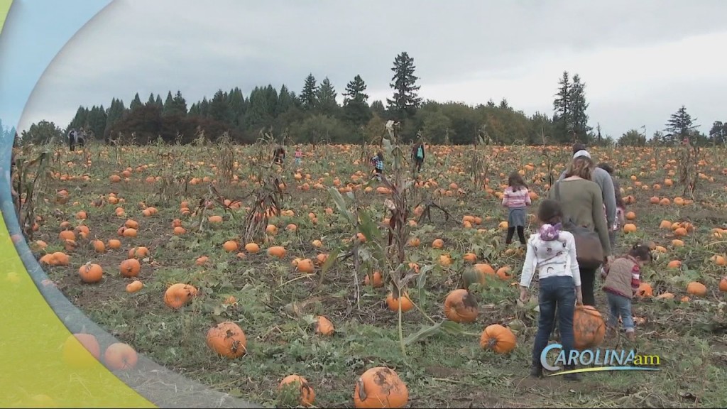 Fall Activities