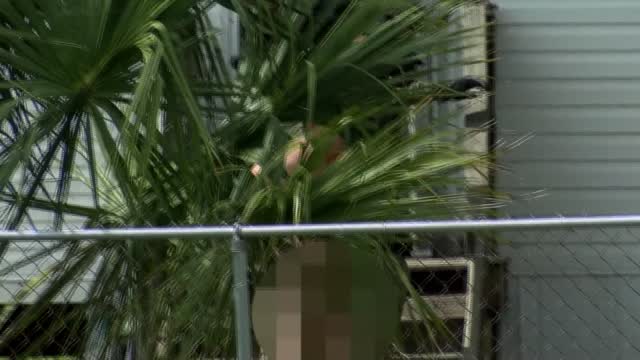 Sc: Police Chief Stabbed In The Face
