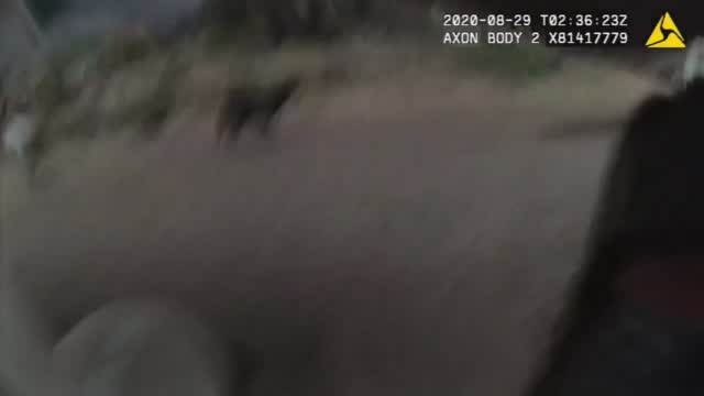 Ca: Deputy In Gun Battle With Suspect