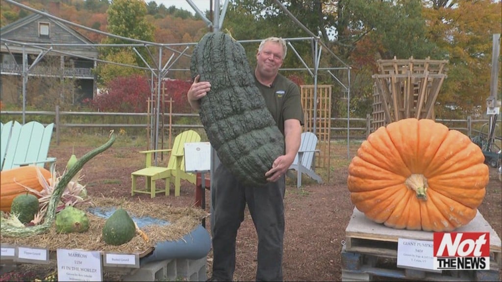 Big Veggies
