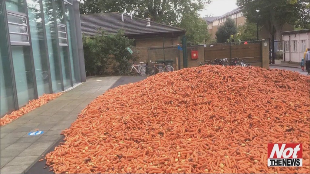 Carrots
