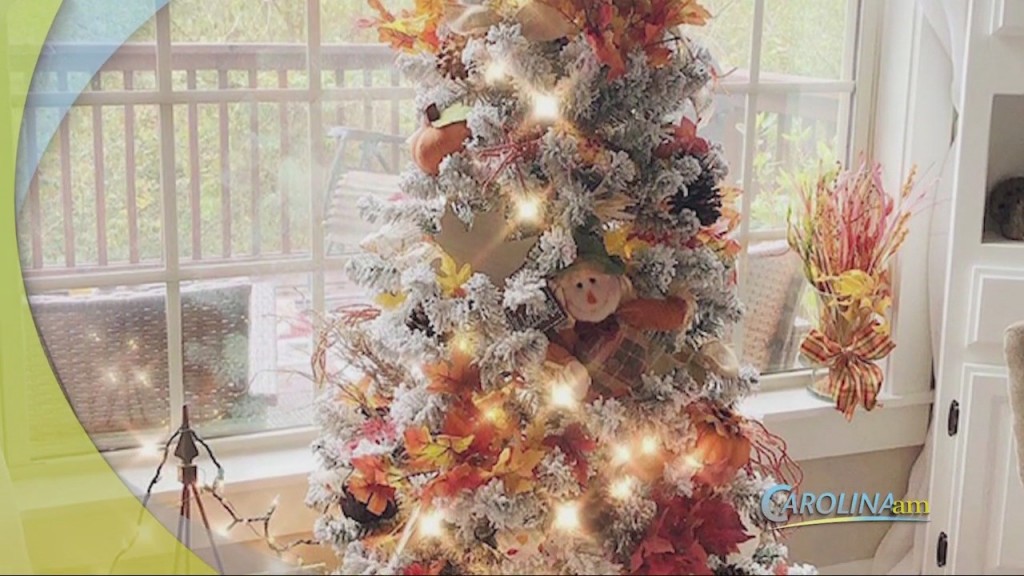 Fall Christmas Trees