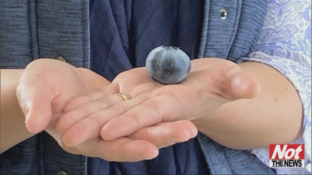 Heaviest Blueberry