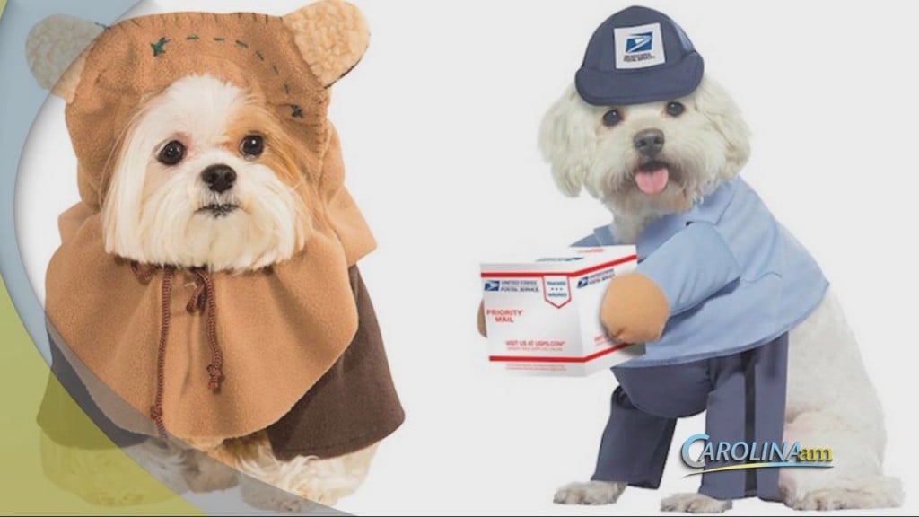 Cam 102920 Petcostume
