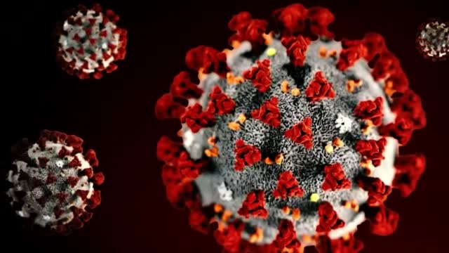 Covid: White House Tries To Contain Outbreak