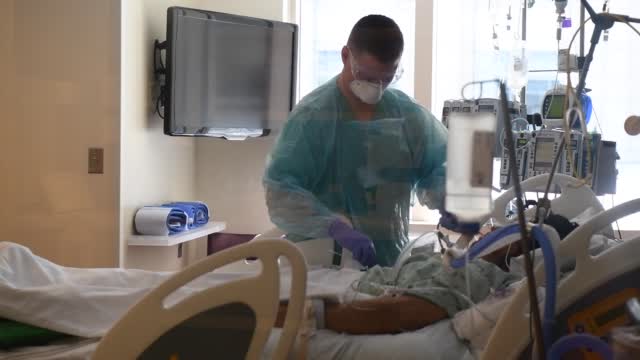 Covid: Us Nears 247,000 Deaths, Tops 11 Million Cases