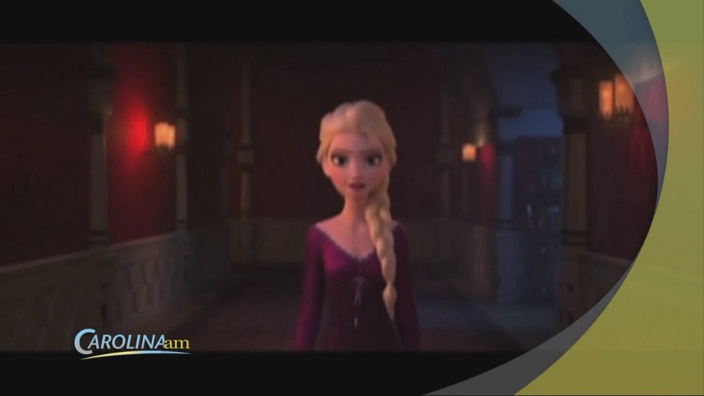 Cam 1104 Frozen