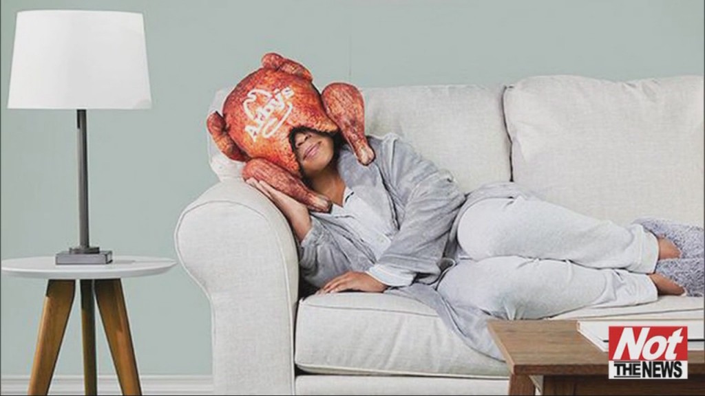 Turkey Pillow