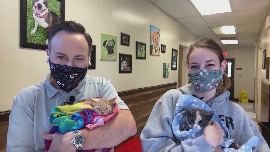 Grand Strand Humane Society 111920