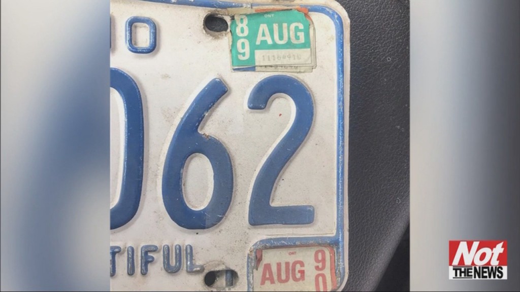License Plate