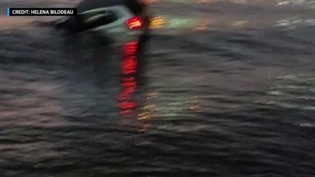 Nj: Caught On Cam: Driver Rescued From Sinking Car