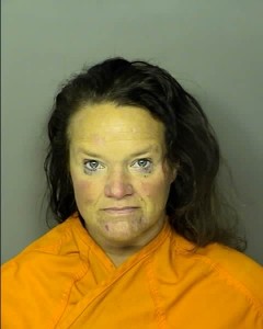 Deluca, Laurie Jean Domestic Violence 3rd Degree