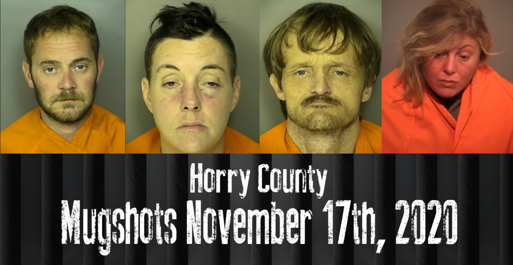 Mugshot 11 17
