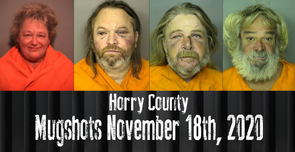 Mugshot 11 18