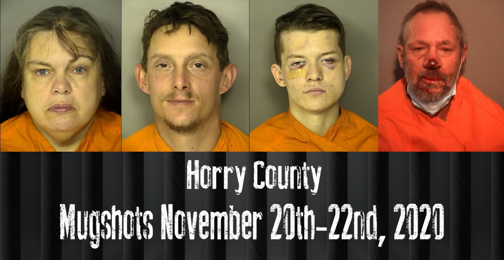 Mugshot 11 20 22