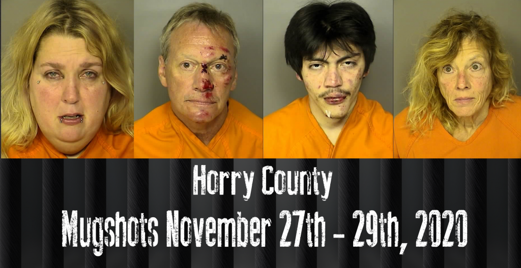 Mugshot 11 27 28 29