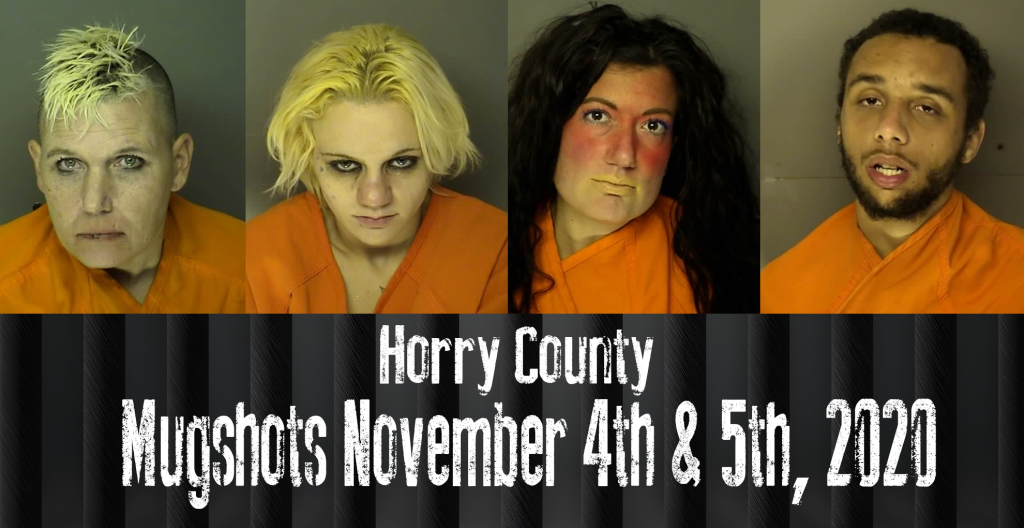 Mugshot 11 4 5