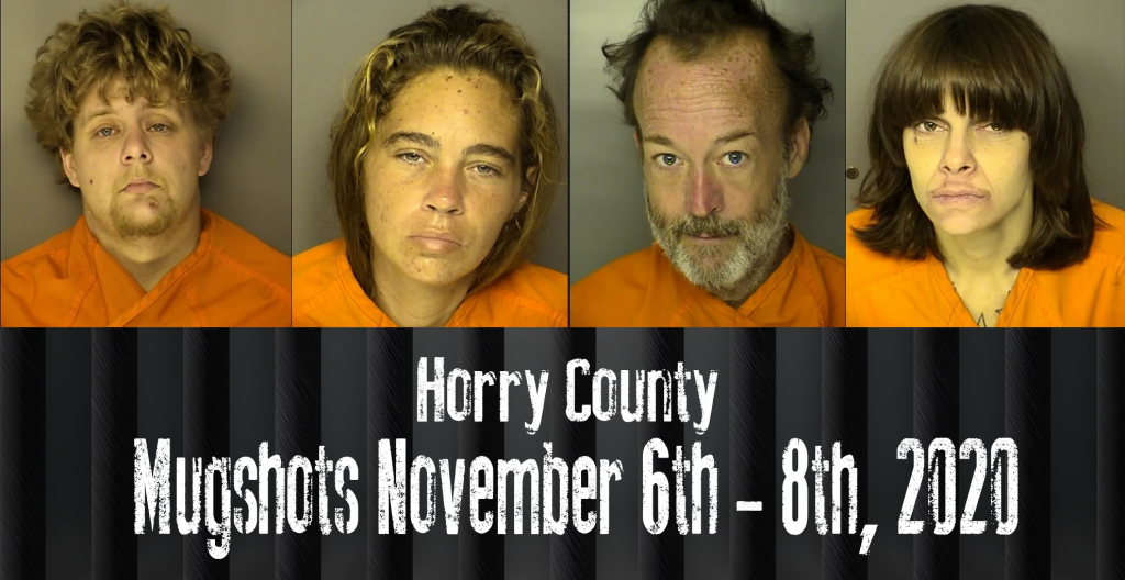Mugshot 11 6 8