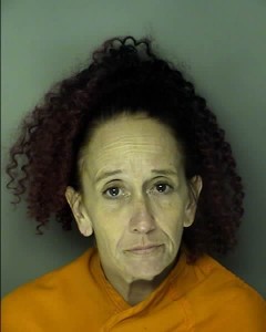 Scharer, Crystal Gail No Charges Listed