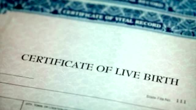 Ny: International Birth Tourism Fraud Ring Busted