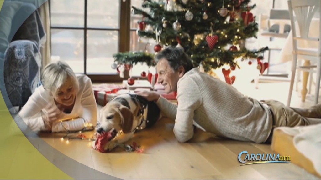Pet Gifts
