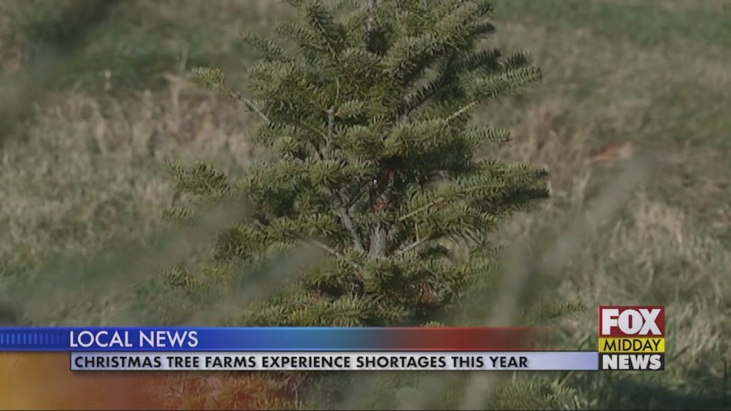 Tree Farms