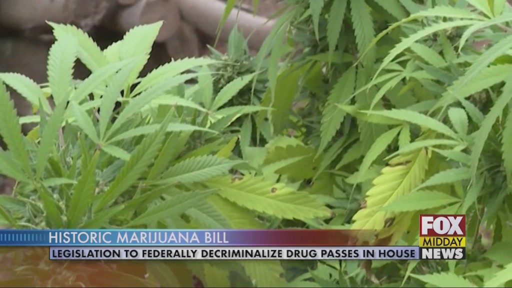 Weed Bill