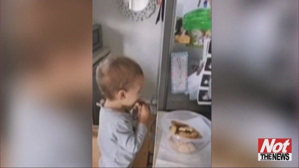 Taste Tester