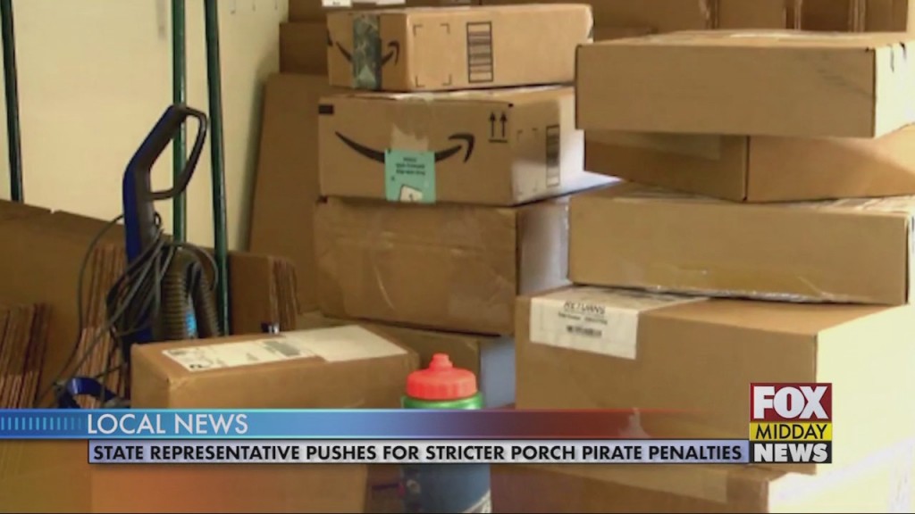 Porch Pirate