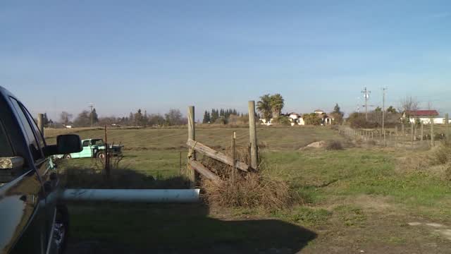 Ca: Woman Mauled By Group Of Dogs