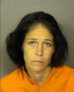 Kaul, Lisa Dietrich Receiving Stolen Goods Under 2k