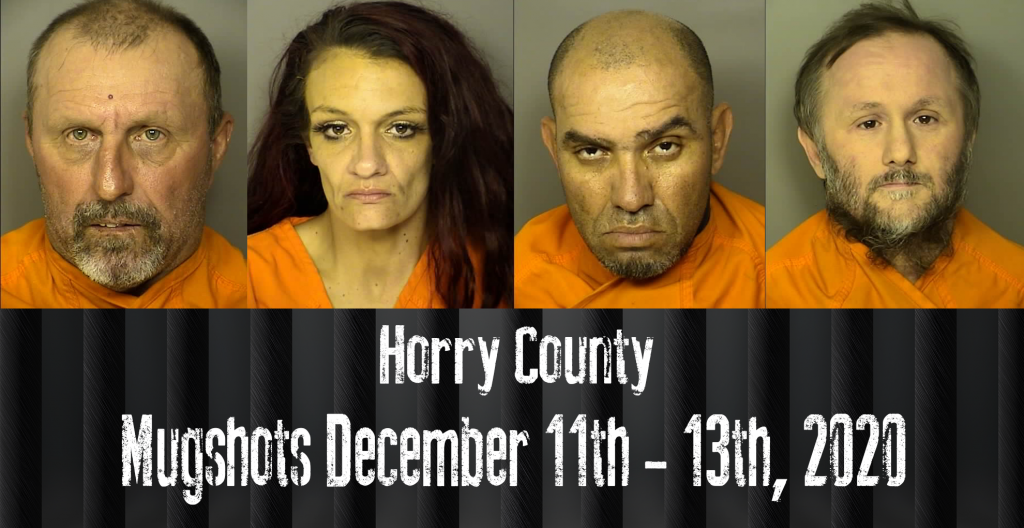 Mugshot 12 11 12 13