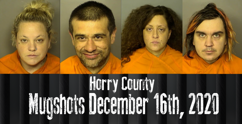 Mugshot 12 16