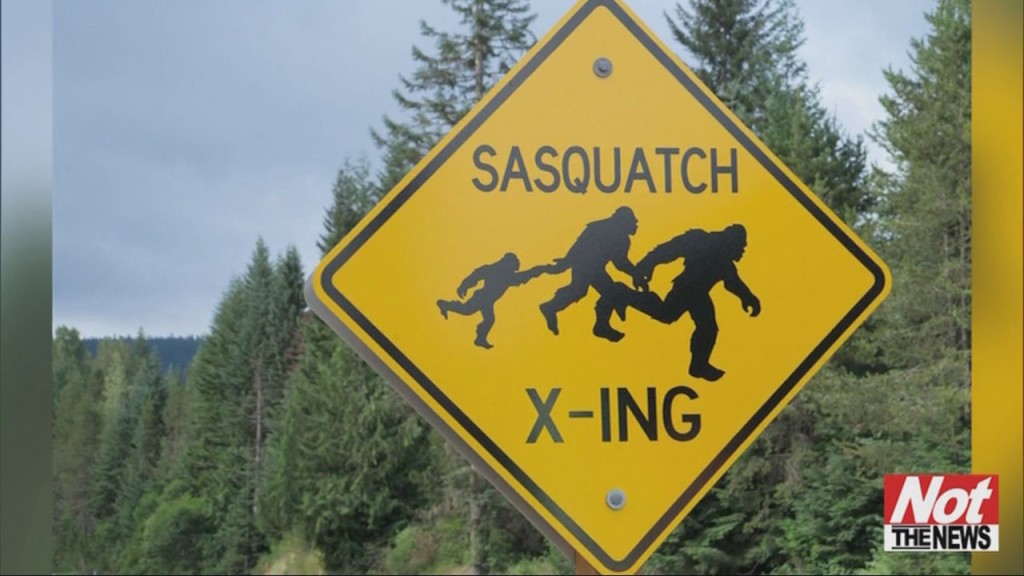 Bigfoot Hunting