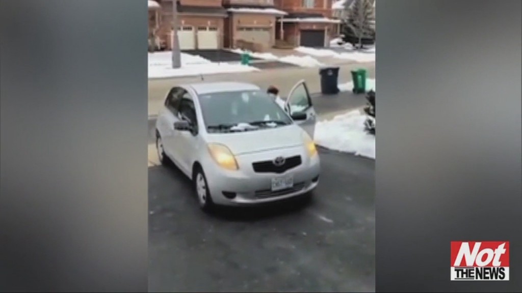Porch Pirate
