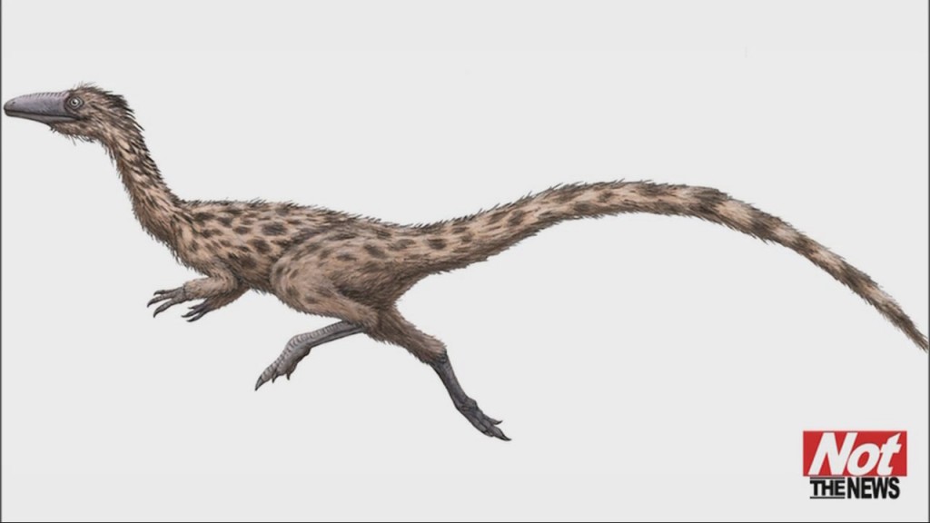 State Dino