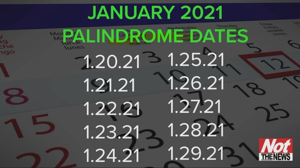 Palindrome Week