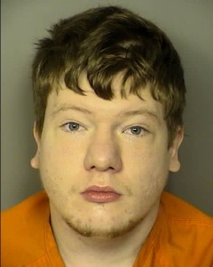 Ford, William Harvey Malicious Injury To Animals Or Personal Property