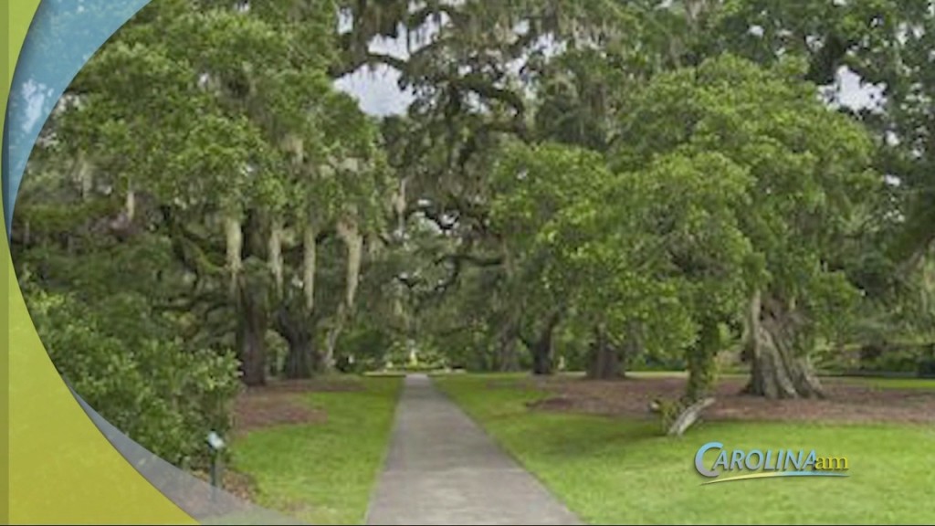Cam 0105 Scdestinationhblock