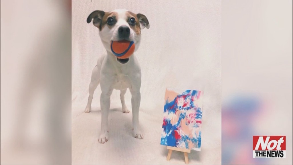 Pupcassos