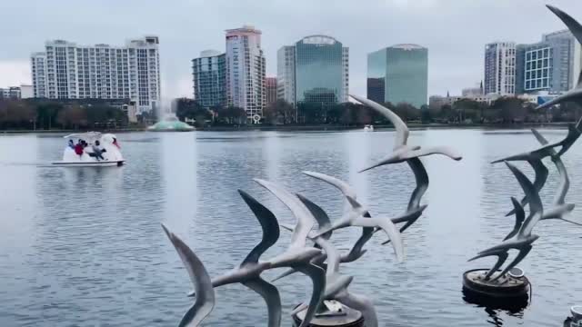 Man Surprises Girlfriend W/ Flash Mob Proposal